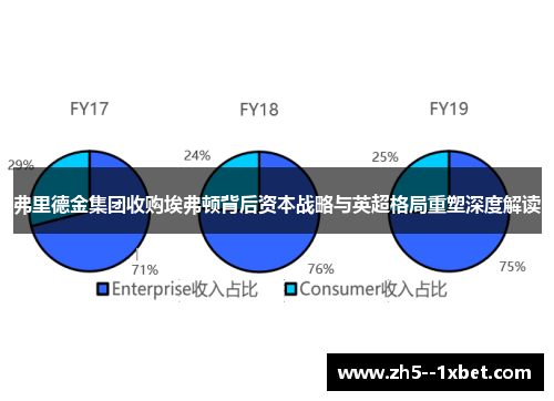 弗里德金集团收购埃弗顿背后资本战略与英超格局重塑深度解读